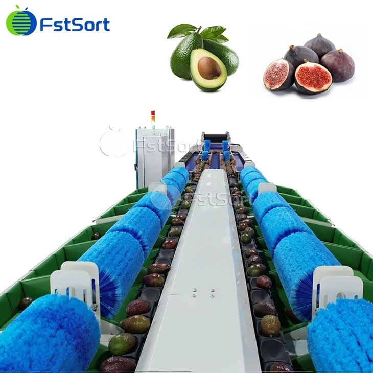 Automatic Fig Fruit Washing Sorting Machine factory